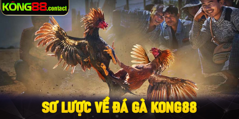 Sơ lược về đá gà Kong88