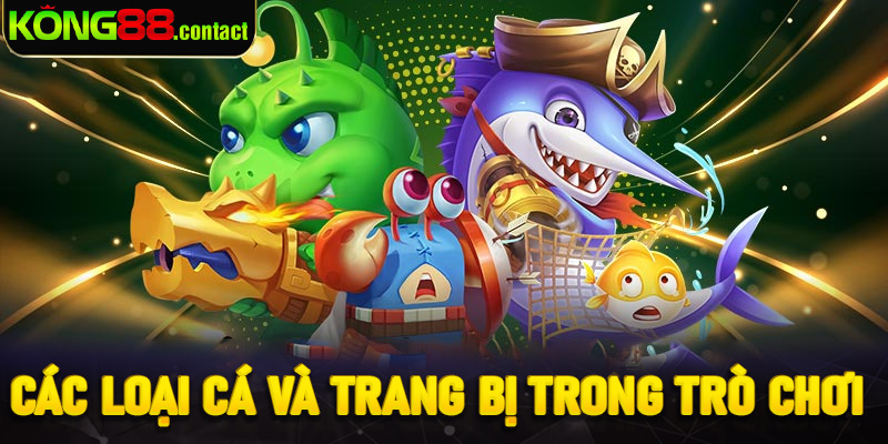Các loại cá và trang bị trong trò chơi