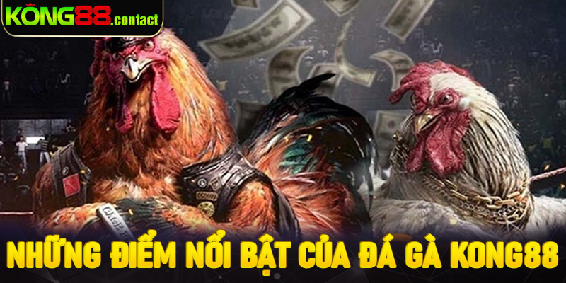Những điểm nổi bật của đá gà Kong88