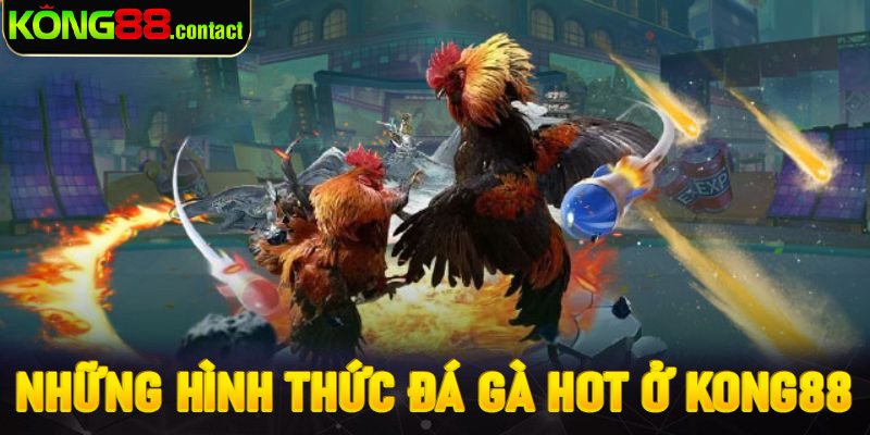 Những hình thức đá gà hot ở Kong88
